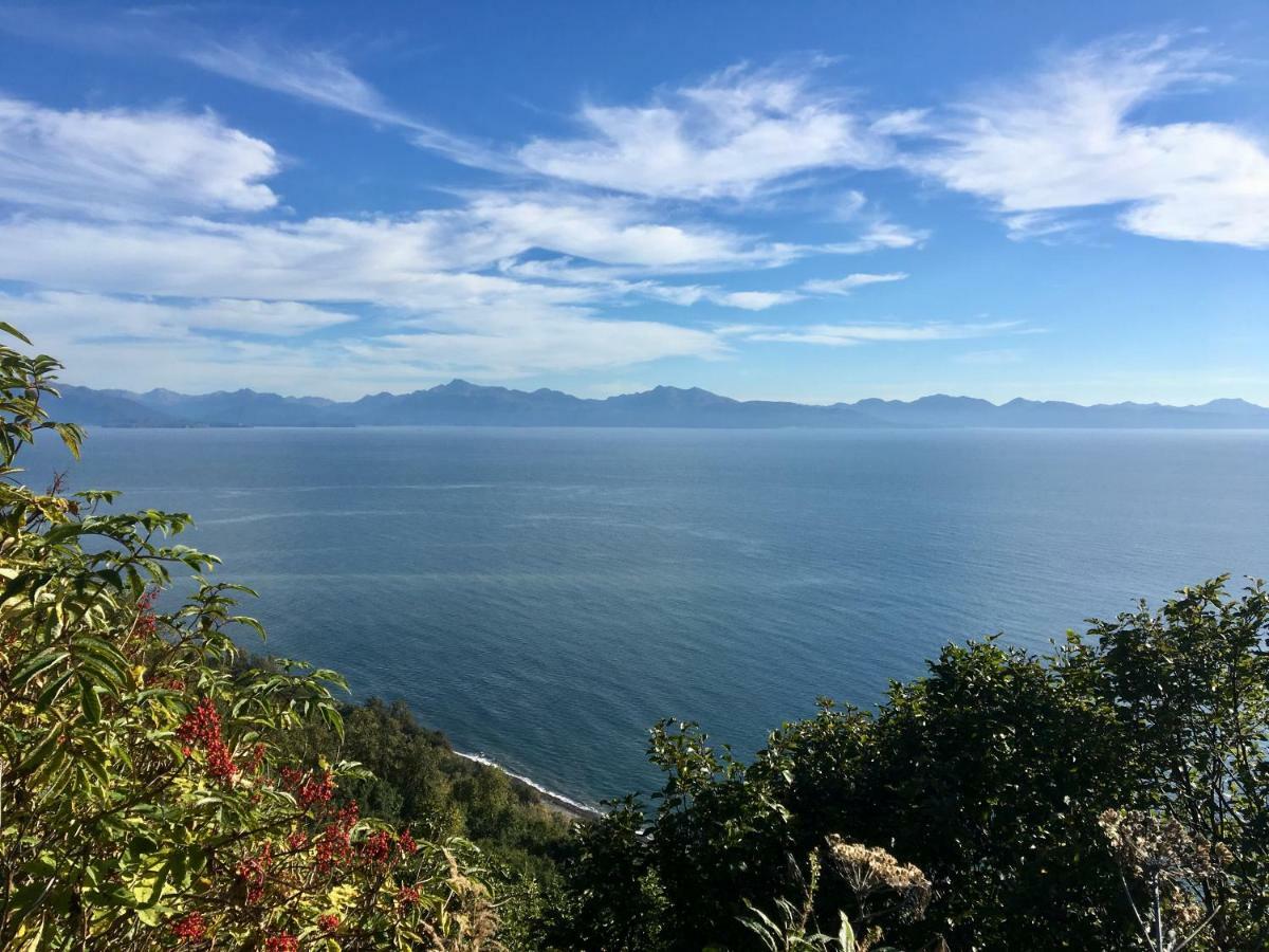 Baycrest Lodge Homer Dış mekan fotoğraf